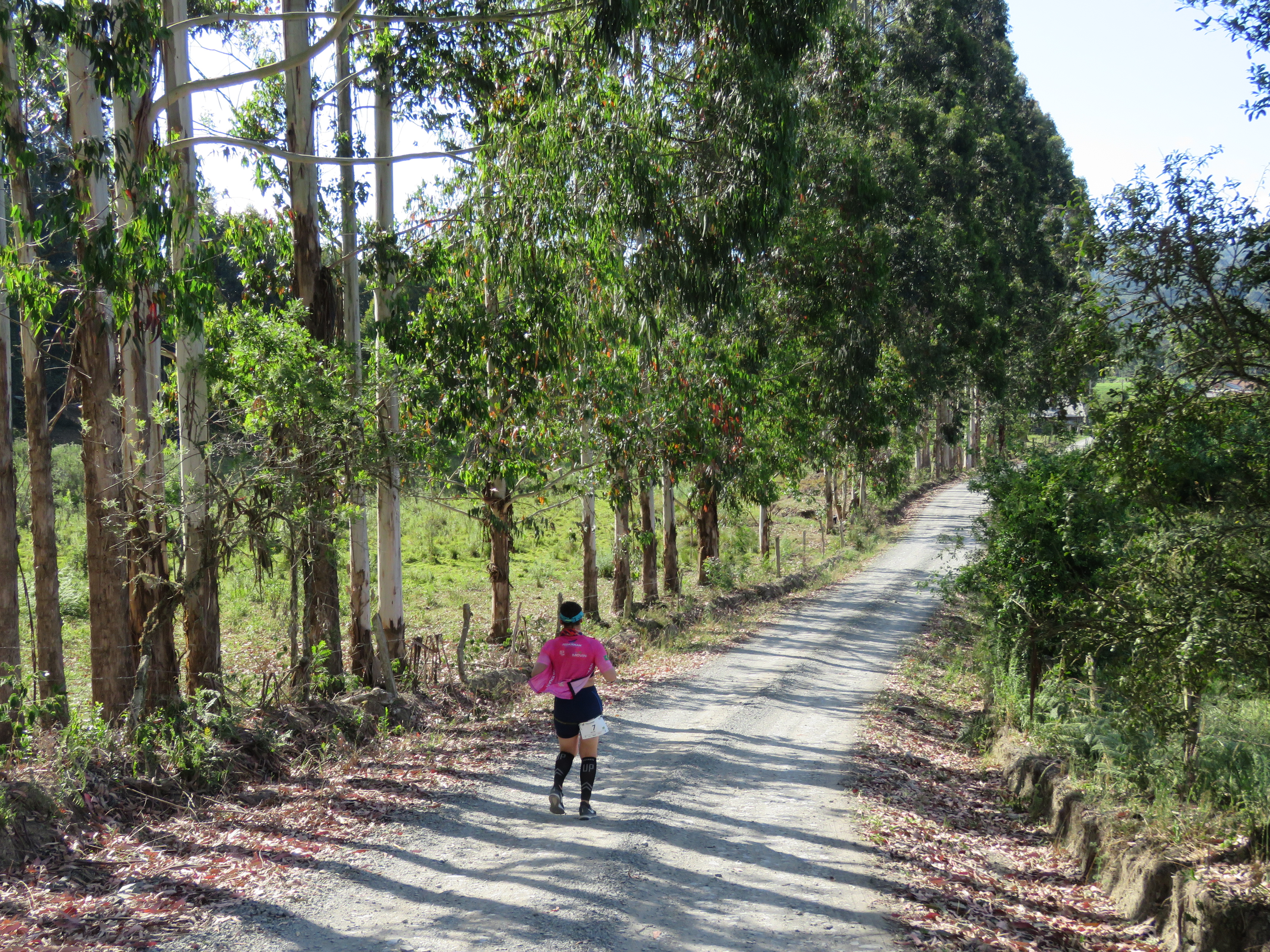 woman running on a tree-line gravel road