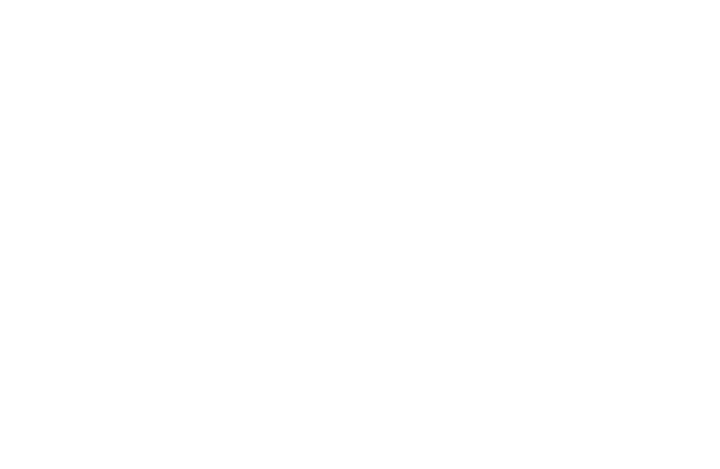 Live Feisty Logo